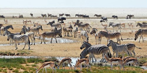 Nature & Wildlife Experience