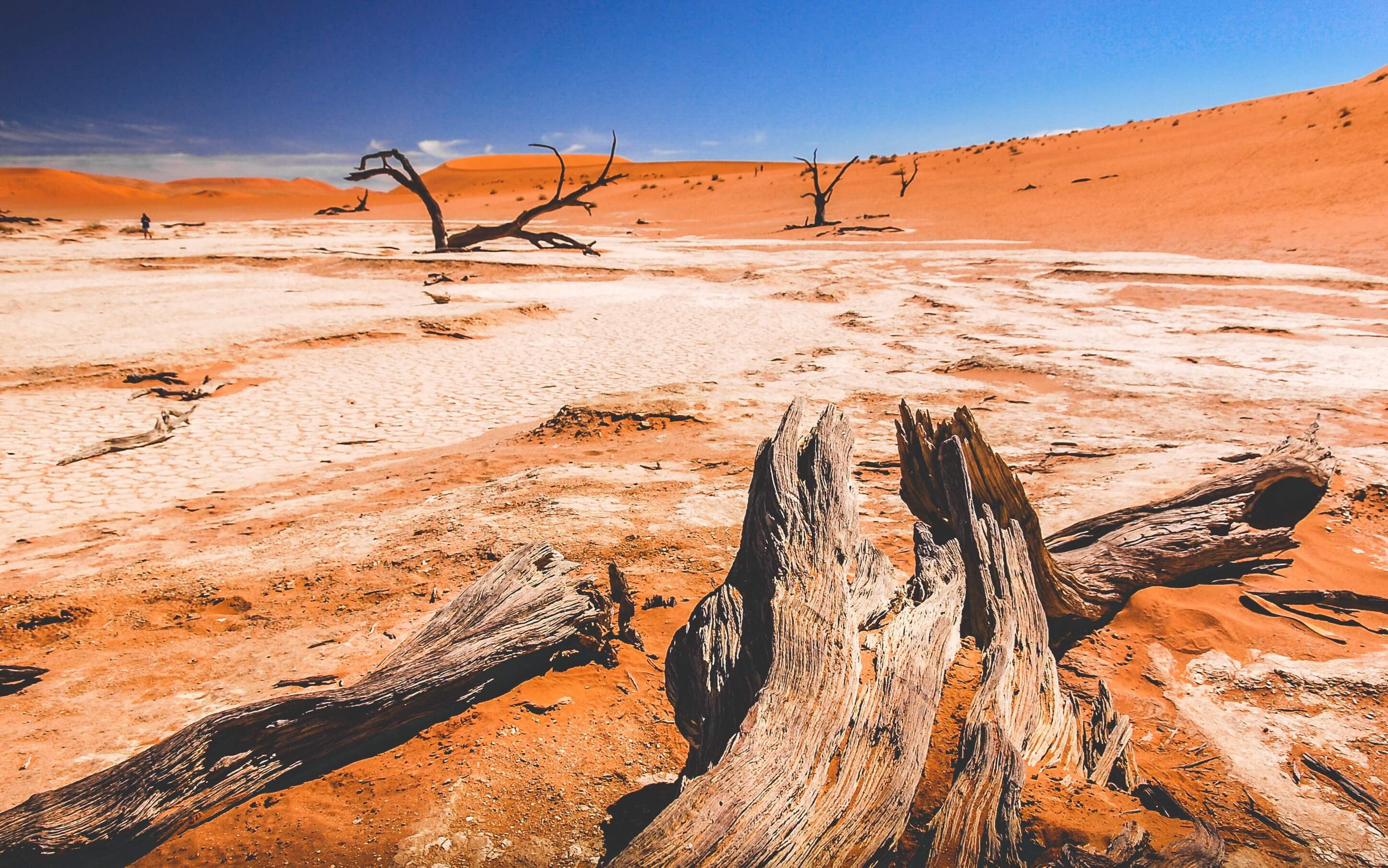 Safari in Namibia