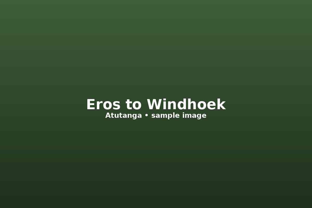 Eros Airport &rarr; Windhoek Accommodation